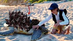 Внук рыбака спас кожистую морскую черепаху, зараженную железным кораллом