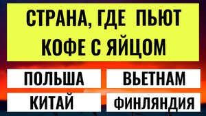 ТЕСТЫ НА ЭРУДИЦИЮ № 188