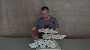 ДТФ-11 Декорация-трансформер из биокерамики для морского аквариума.