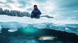 Отпустил камеру под лёд. Подглядываю за рыбками!