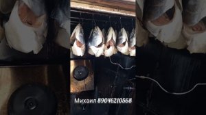 ГОЛОВЫ ГОРЯЧЕГО КОПЧЕНИЯ!!!