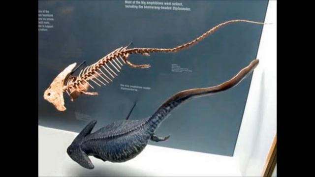Top 7 amazing prehistoric amphibians. смотреть онлайн