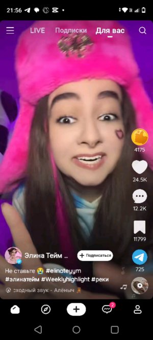 делаем шаурму