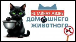 Не ТАЙНАЯ ЖИЗНЬ домашнего ЖИВОТНОГО ( Copycat )