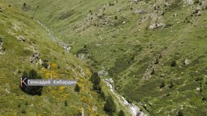 Анимация с помощью маркеров