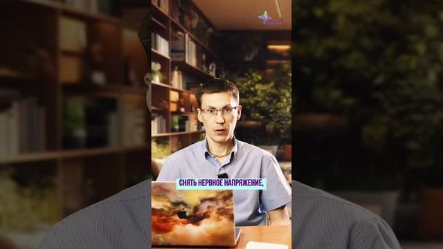 🪻 Какие масла можно распылять через аромадиффузор. Максим Безроднов