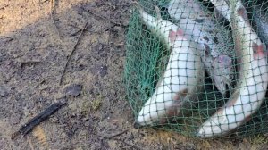 29.03.25 г. Парк отдыха водопад