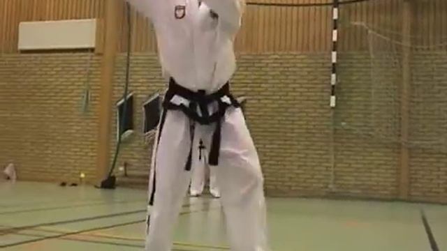 1 гып, Хва Ранг, красно-черный Hwa Rang тхэквондо taekwondo таэквондо смотреть онлайн