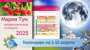 Календарь Марии Тун на первую половину апреля 2025