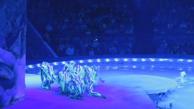 Цирк на воде. Воздушный корабль. смотреть онлайн