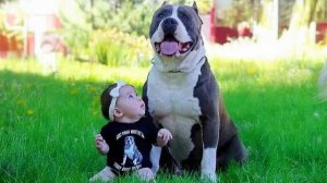 Ничто не наполняет сердце ребенка любовью так, как взросление с СОБАКОЙ