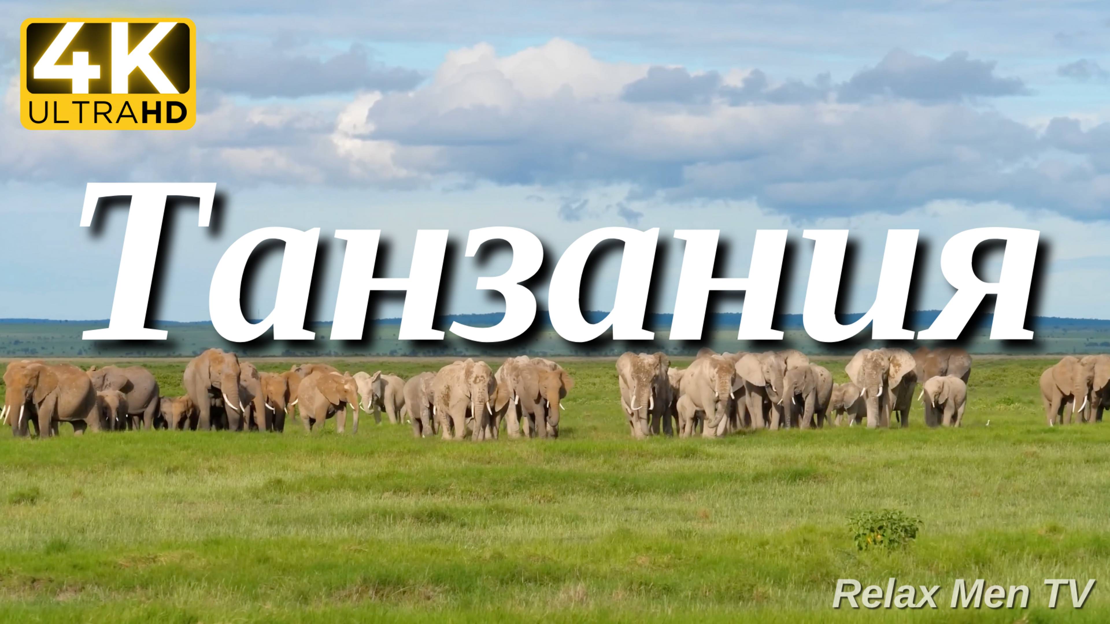4К Танзания и Серенгети - Красивая природа и спокойная музыка которая подойдет для отдыха