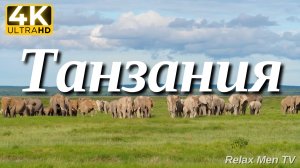 4К Танзания и Серенгети - Красивая природа и спокойная музыка которая подойдет для отдыха