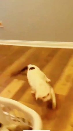 водные процедуры