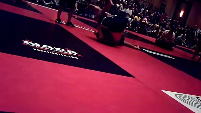 lutas cassino смотреть онлайн