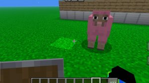 Прятки догонялки в моем крафте