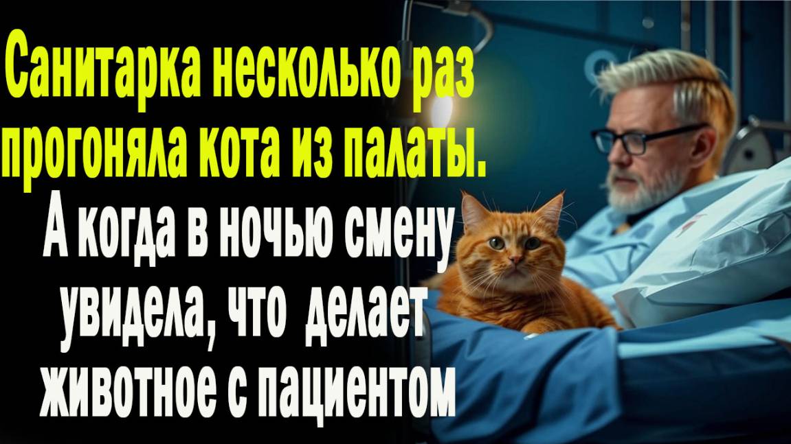 Жизненные истории "Когда кот вместо сына" Истории из жизни / Рассказы / Слушать истории / Читаем