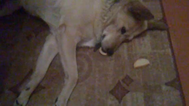 Лень - она такая ! смотреть онлайн