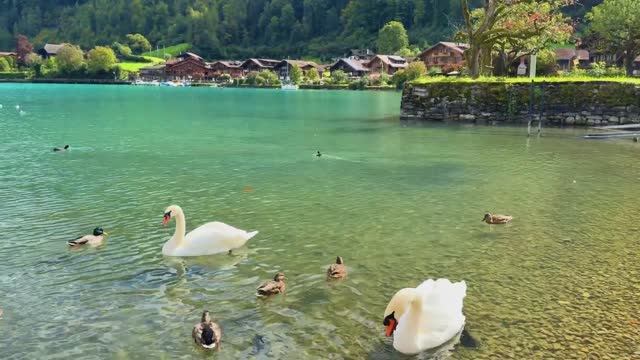 Швейцарская сельская местность - Самые райские и красивые швейцарские деревни - Сказочные деревни