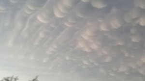 Случаи в природе