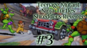 Teenage Mutant Ninja Turtles Shredders Revenge #3 🐢