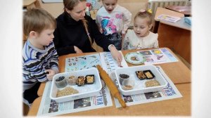 Эко кормушка 2025