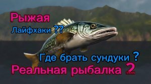 Реальная рыбалка 2. Где брать сундуки, лайфхаки
