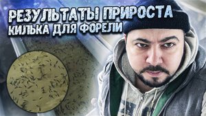 Килька для форели _ Результаты прироста