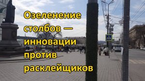 Озеленение столбов — инновации против расклейки объявлений