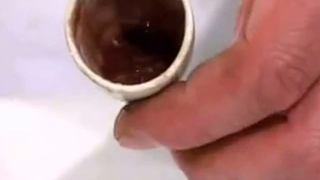 Фараонова змея