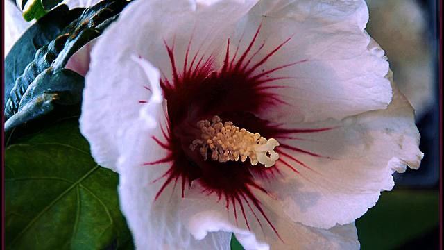 Слушать свежую русскую песню и фото 2015 смотреть онлайн