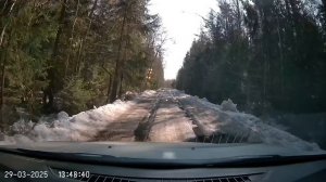 Лиса перебегает дорогу.
