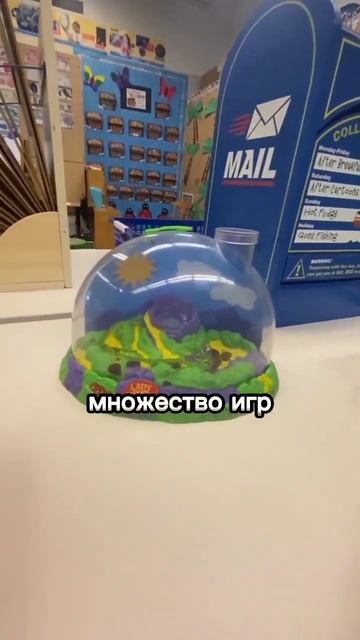 Экскурсия по американской школе #сша #американскаяшкола #школавсша