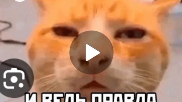 подпишитесь!!!