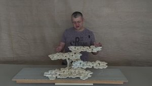 ДТФ-15 Декорация-трансформер из биокерамики для морского аквариума.