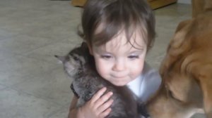 Сама нежность, ребенок обнимает котенка, ммм