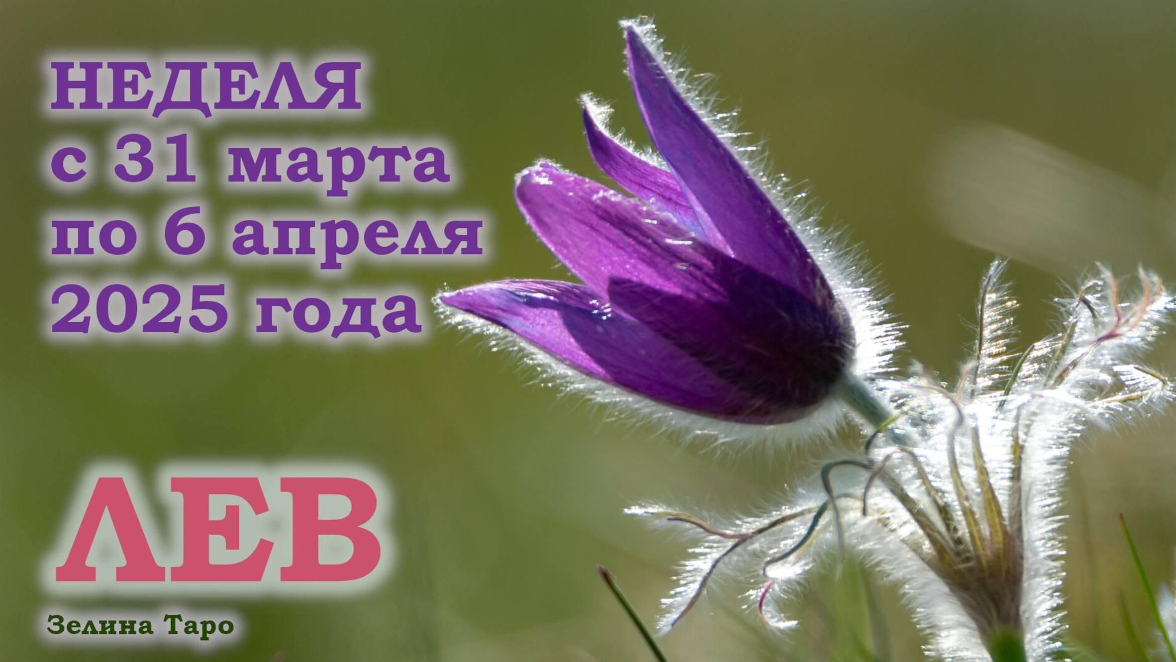 ЛЕВ | ТАРО прогноз на неделю с 31 марта по 6 апреля 2025 года