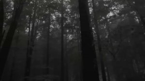 КАЙСЫН 2 ЧАСТЬ ФИНАЛ - У.Лобаева. Страшные истории про лес. Мистические рассказы про деревню