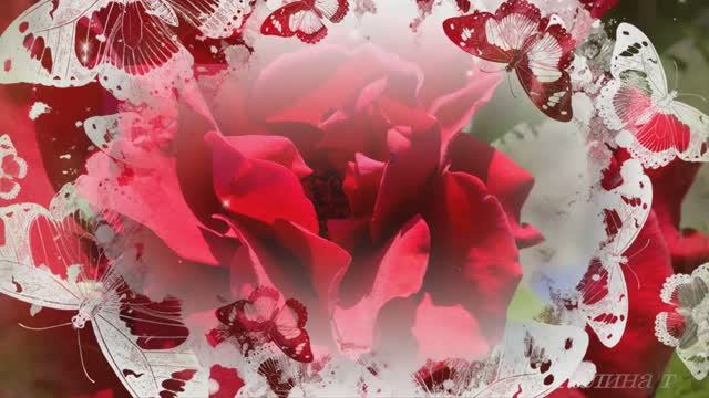 Вальс бабочек ...Музыка Игоря Двуреченского смотреть онлайн