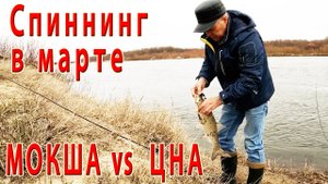 Рыбалка на спиннинг в конце марта: Два дня -две реки. Мокша и Цна.