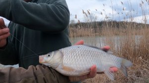 РЫБАЛКА НА КАРАСЯ В МАРТЕ НА УСТЬЕ р.АДАГУМКА)))