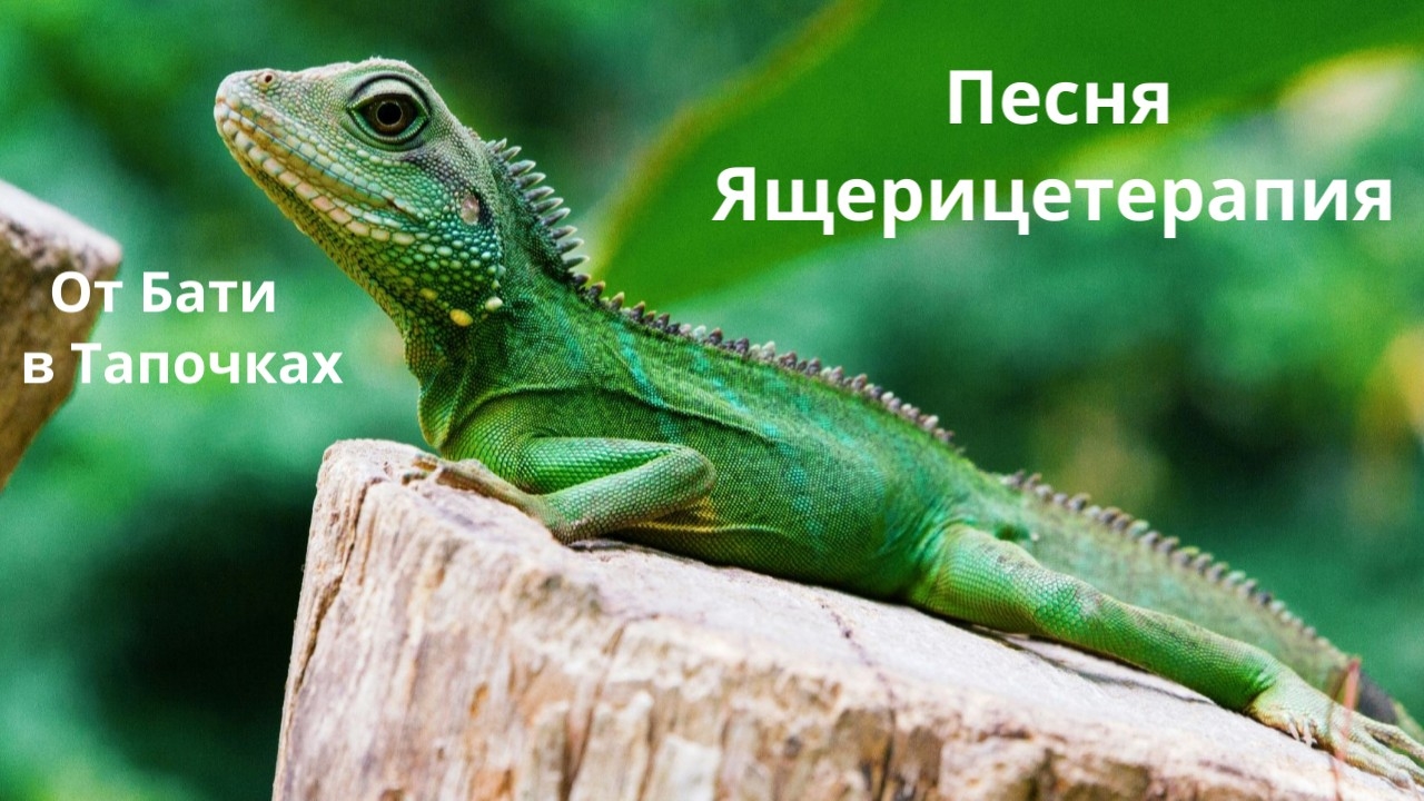 ящерицетерапия 2.0 (Suno Ai)