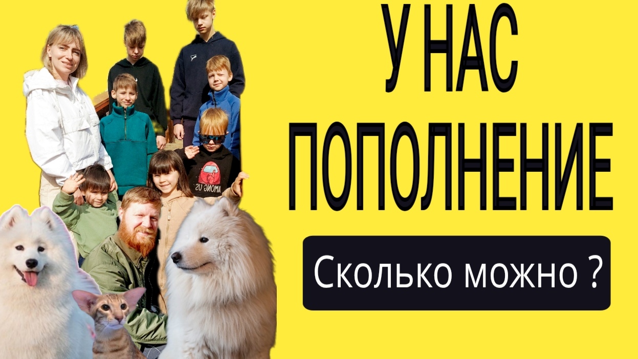7 детей и СВОЯ ФЕРМА #многодетная семья #многодетнаямама #большаясемья #быстрыерецепты #еда #ферма