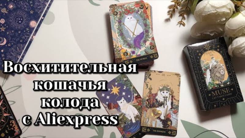 Восхитительное Muse cat tarot c Aliexpress / таро с Алиэкспресс #обзортаро #таро #моиколодытаро
