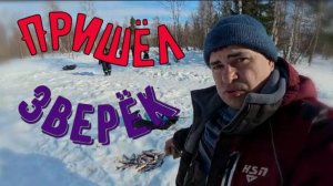 После последней рыбки хочется ещё последнюю