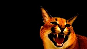 нужна помощь 🆘