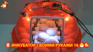 Инкубатор своими руками из подручных материалов и результат инкубации🥚🐣🐤 вариант (16)