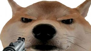 Облики Дожа 2 часть