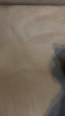 Мы провели химчистку дивана на дому, тщательно удалив все пятна.