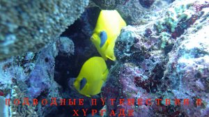 Подводные путешествия Красное море Хургада